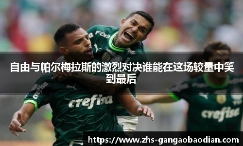 自由与帕尔梅拉斯的激烈对决谁能在这场较量中笑到最后